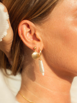 Scallop Shell Earrings