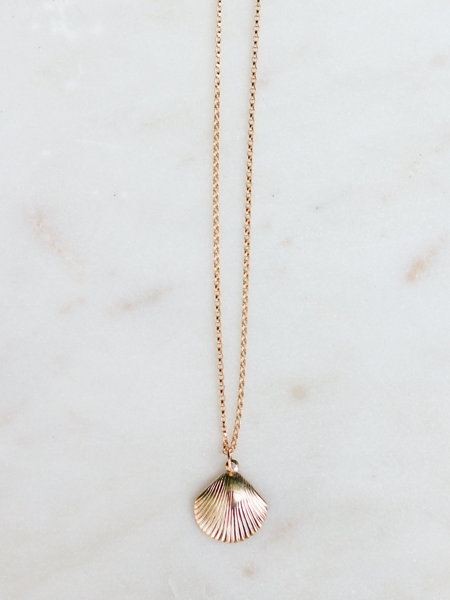 Scallop Shell Necklace